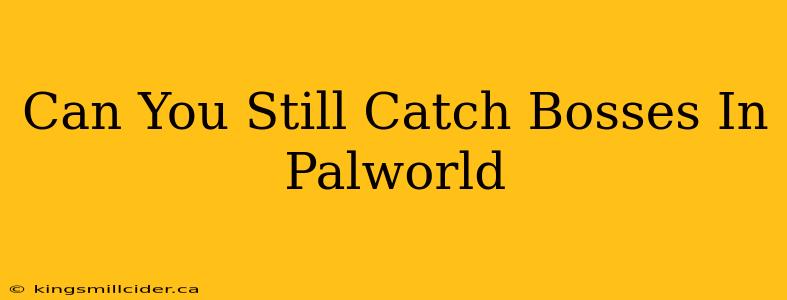 Can You Still Catch Bosses In Palworld