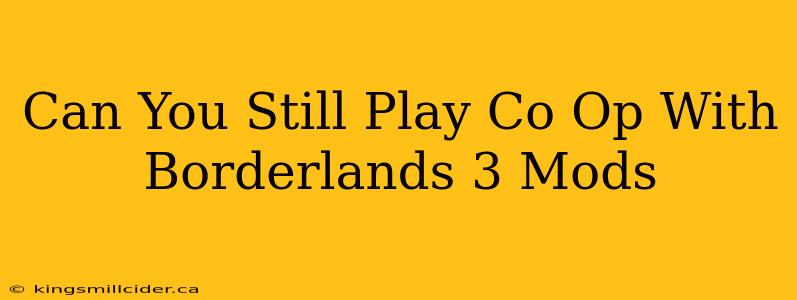 Can You Still Play Co Op With Borderlands 3 Mods