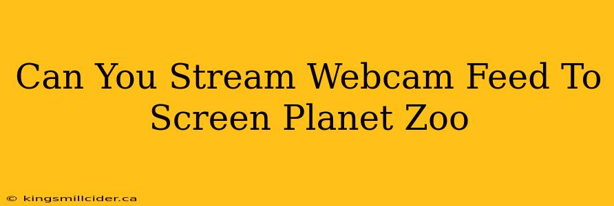 Can You Stream Webcam Feed To Screen Planet Zoo