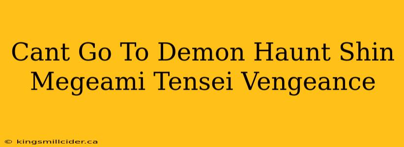 Cant Go To Demon Haunt Shin Megeami Tensei Vengeance