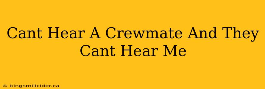 Cant Hear A Crewmate And They Cant Hear Me