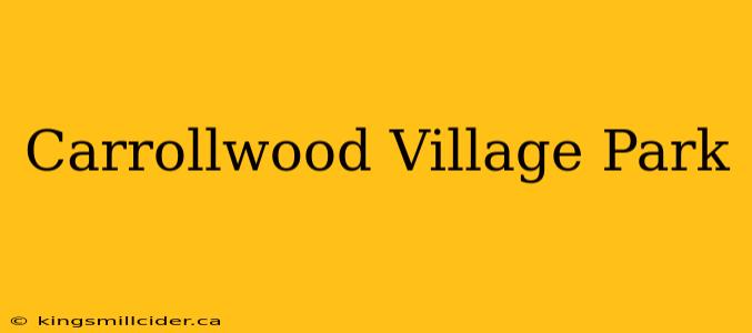 Carrollwood Village Park