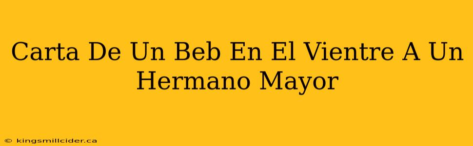 Carta De Un Beb En El Vientre A Un Hermano Mayor