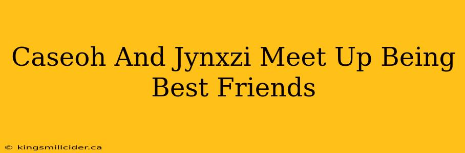 Caseoh And Jynxzi Meet Up Being Best Friends