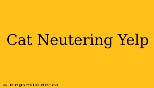 Cat Neutering Yelp