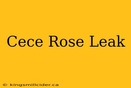 Cece Rose Leak