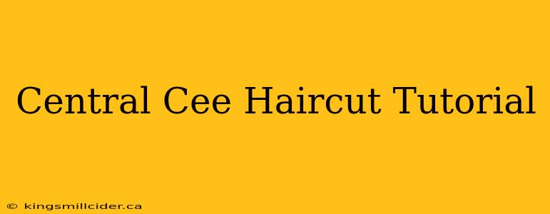 Central Cee Haircut Tutorial