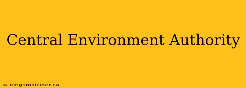 Central Environment Authority