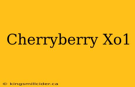 Cherryberry Xo1