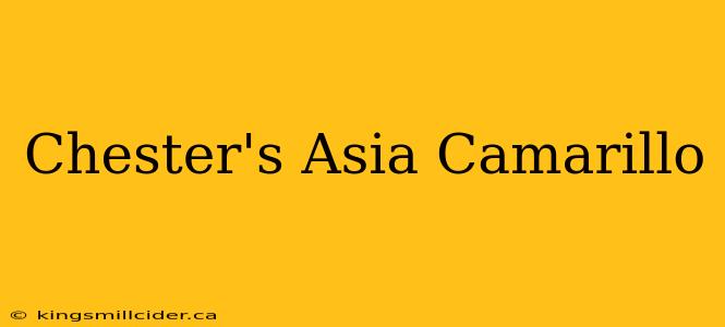 Chester's Asia Camarillo