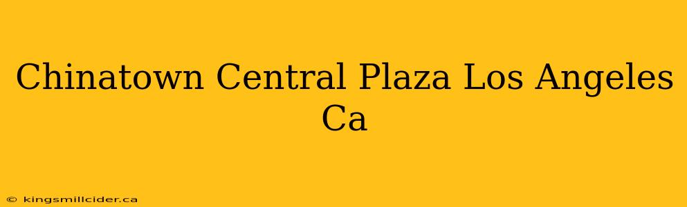 Chinatown Central Plaza Los Angeles Ca