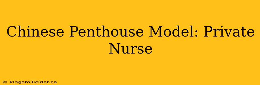 Chinese Penthouse Model: Private Nurse