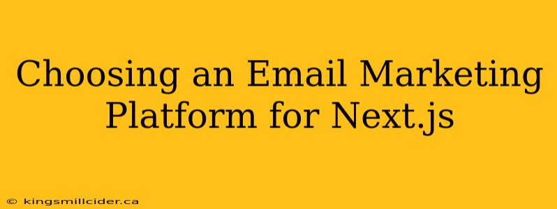 Choosing an Email Marketing Platform for Next.js
