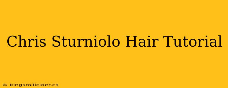 Chris Sturniolo Hair Tutorial