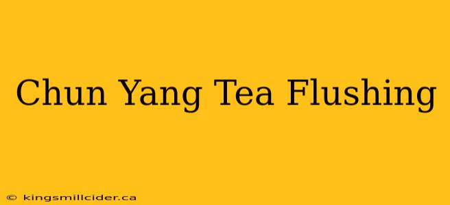 Chun Yang Tea Flushing