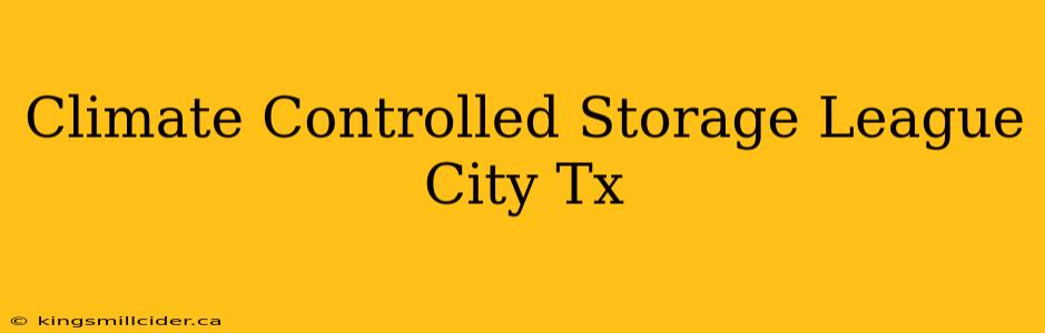 Climate Controlled Storage League City Tx