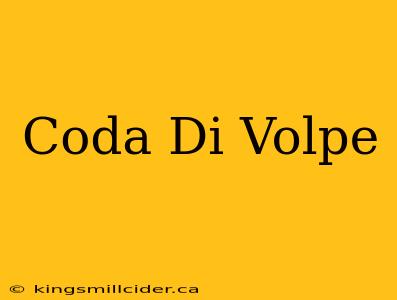 Coda Di Volpe