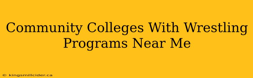 Community Colleges With Wrestling Programs Near Me