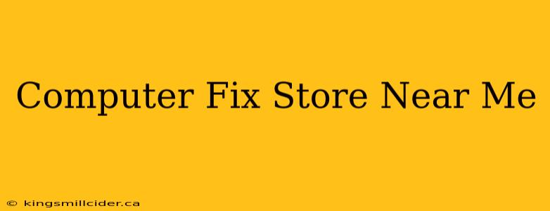 Computer Fix Store Near Me