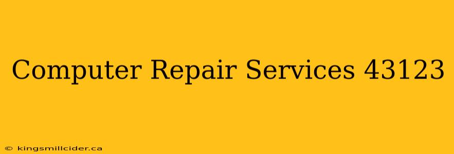 Computer Repair Services 43123