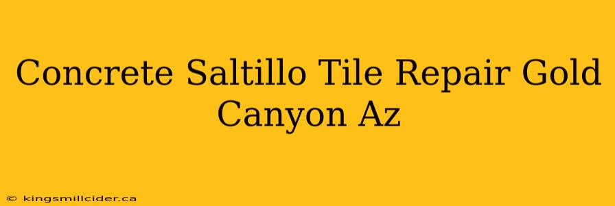 Concrete Saltillo Tile Repair Gold Canyon Az