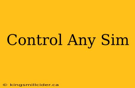 Control Any Sim