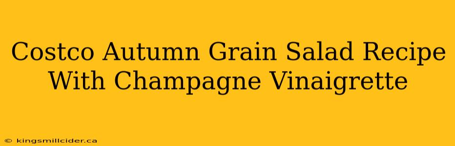 Costco Autumn Grain Salad Recipe With Champagne Vinaigrette