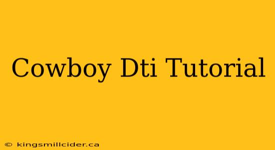 Cowboy Dti Tutorial