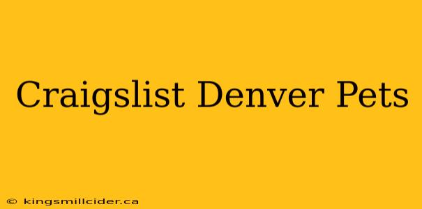 Craigslist Denver Pets