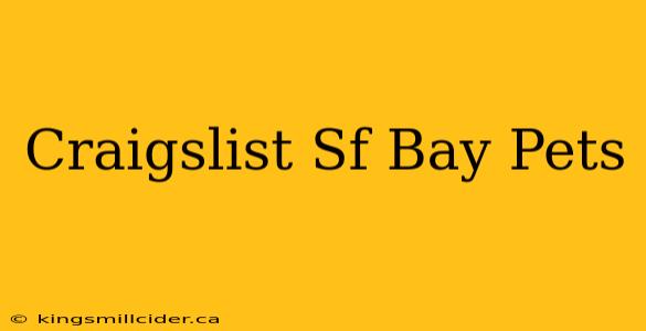 Craigslist Sf Bay Pets