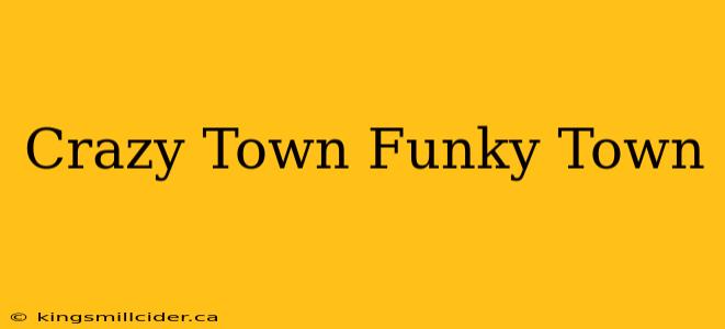 Crazy Town Funky Town