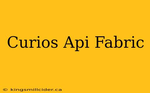 Curios Api Fabric