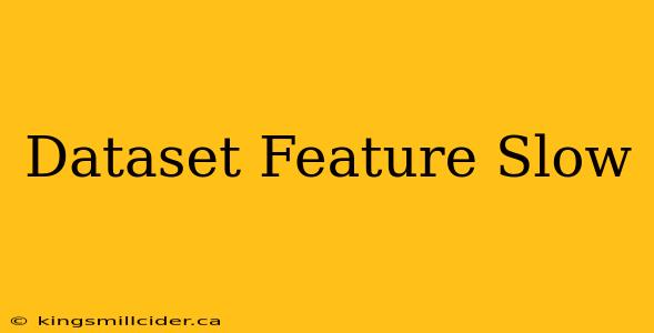 Dataset Feature Slow