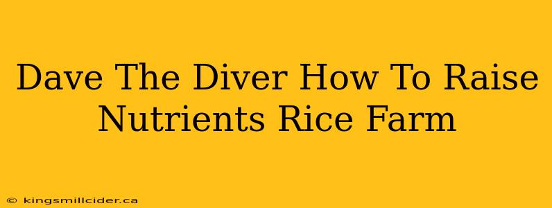 Dave The Diver How To Raise Nutrients Rice Farm