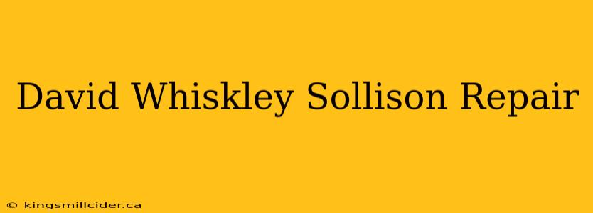 David Whiskley Sollison Repair