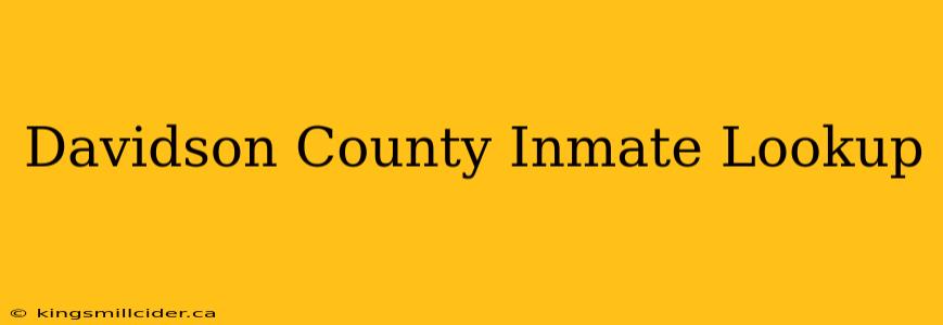 Davidson County Inmate Lookup