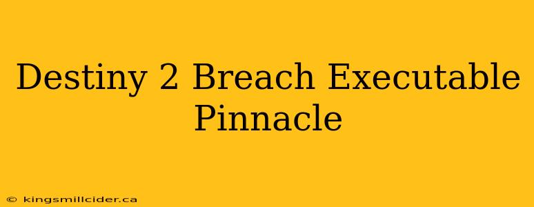 Destiny 2 Breach Executable Pinnacle