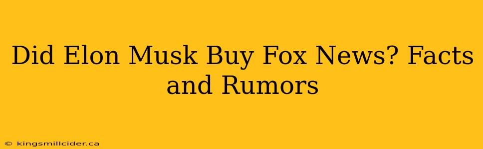 Did Elon Musk Buy Fox News? Facts and Rumors