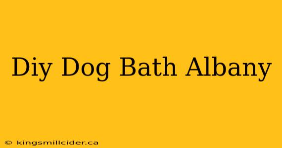 Diy Dog Bath Albany