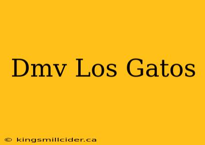 Dmv Los Gatos