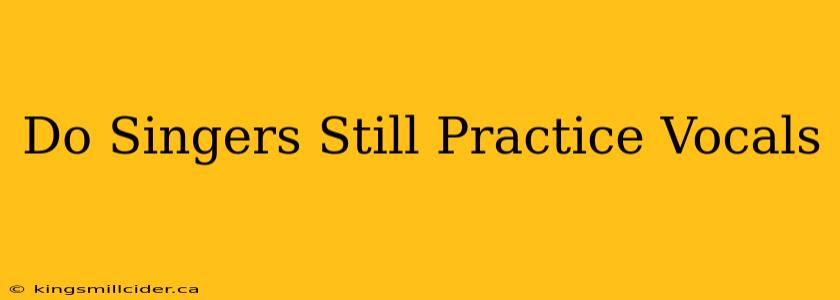 Do Singers Still Practice Vocals