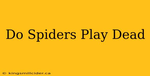 Do Spiders Play Dead