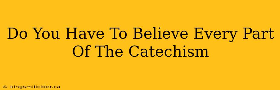 Do You Have To Believe Every Part Of The Catechism