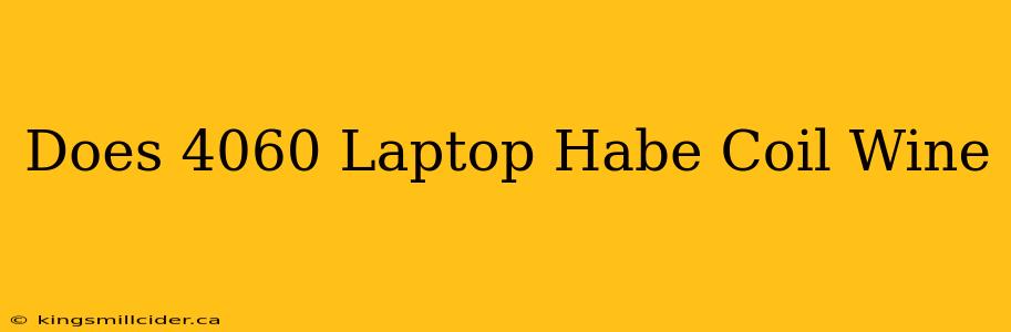 Does 4060 Laptop Habe Coil Wine