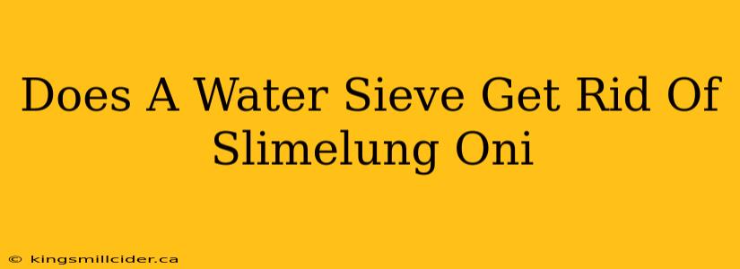 Does A Water Sieve Get Rid Of Slimelung Oni