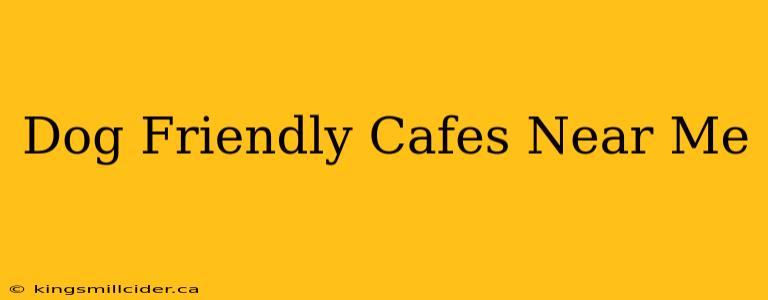 Dog Friendly Cafes Near Me