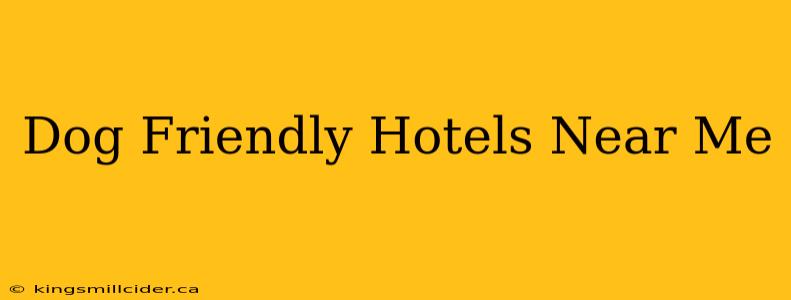 Dog Friendly Hotels Near Me