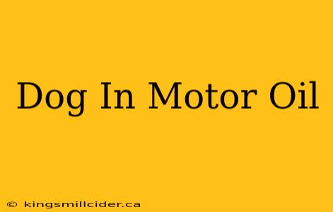 Dog In Motor Oil