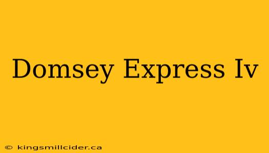 Domsey Express Iv