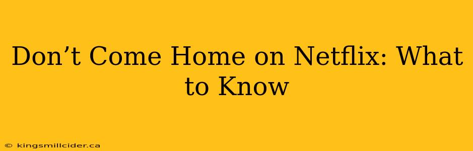 Don’t Come Home on Netflix: What to Know